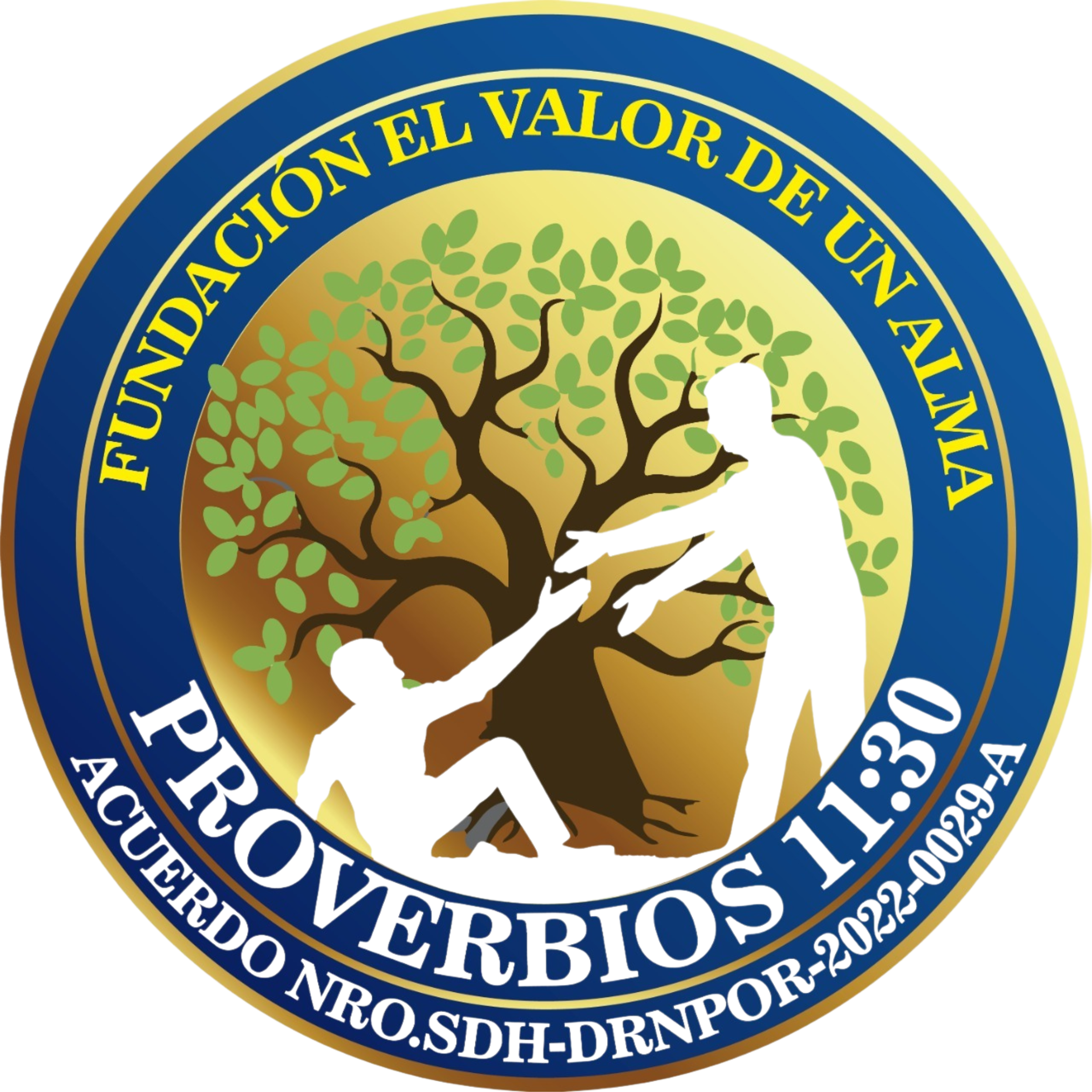 FUNDACIÓN EL VALOR DE UN ALMA